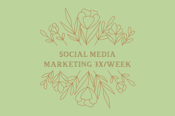 Social Media Marketing 3x/Week