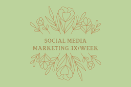 Social Media Marketing 3x/Week